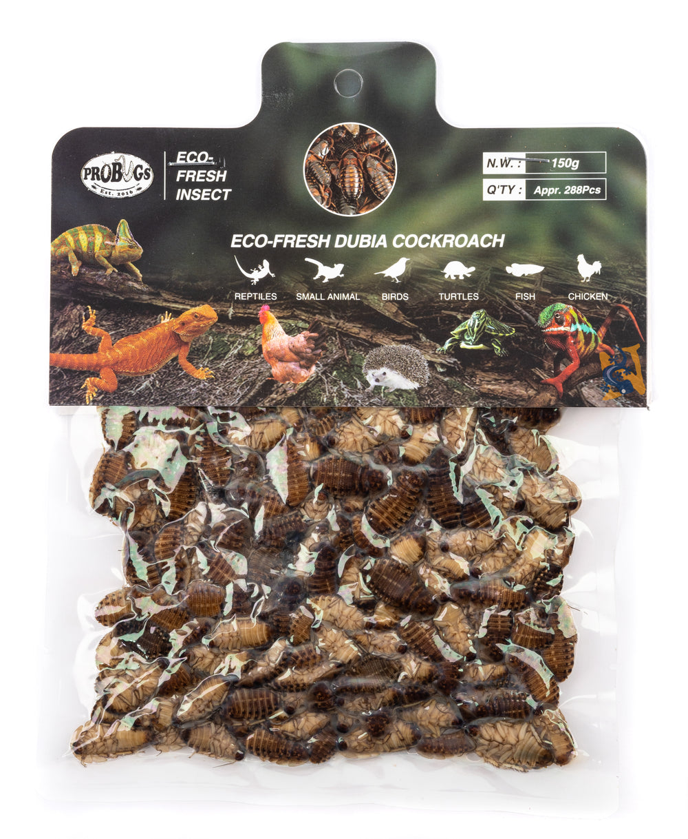 ProBugs Eco-Fresh Bulk Dubia, 150g