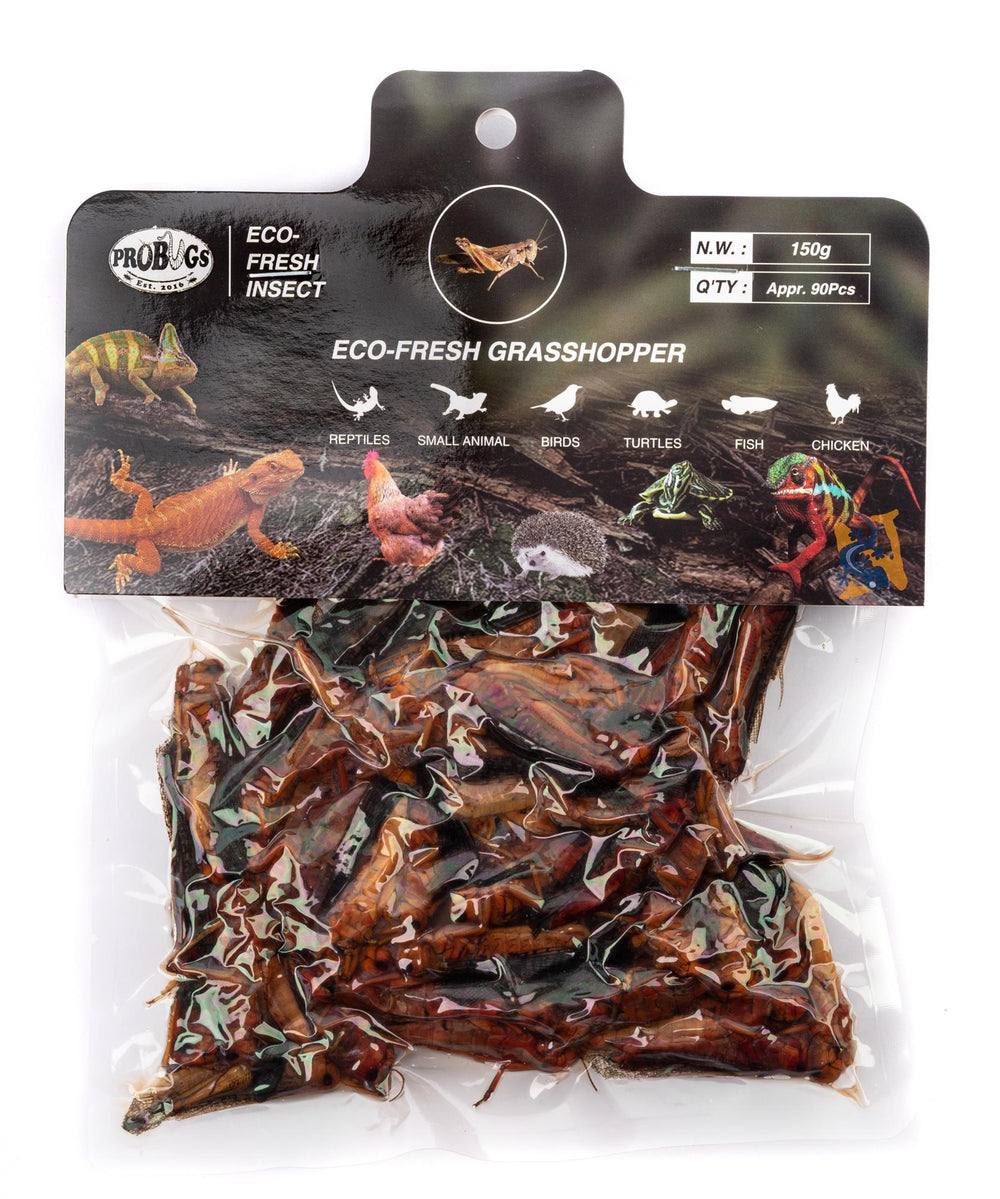 ProBugs Eco-Fresh Bulk Grasshoppers, 150g