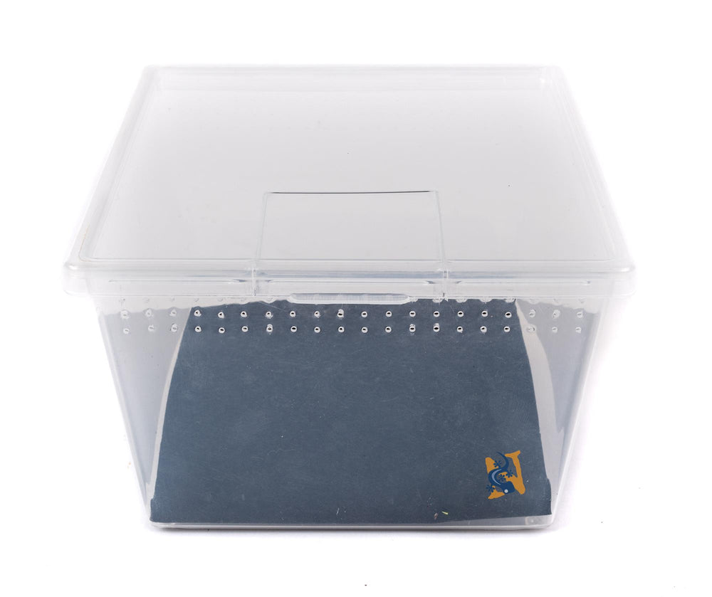 Square Vented Container with Flip Top Lid NOT Deli Cup