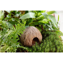 Load image into Gallery viewer, Exo Terra Coconut Cave - Nesting &amp; Egg-Laying Hide
