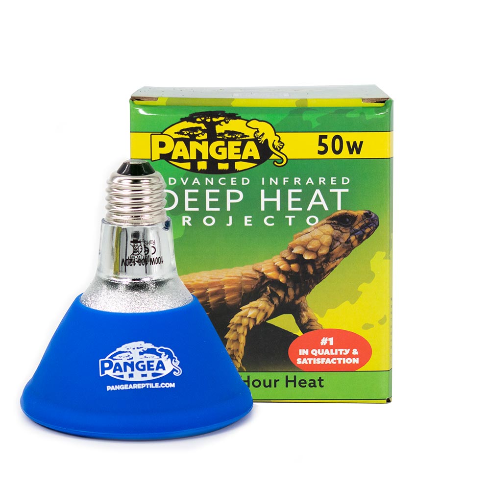 Pangea Deep Heat Projector