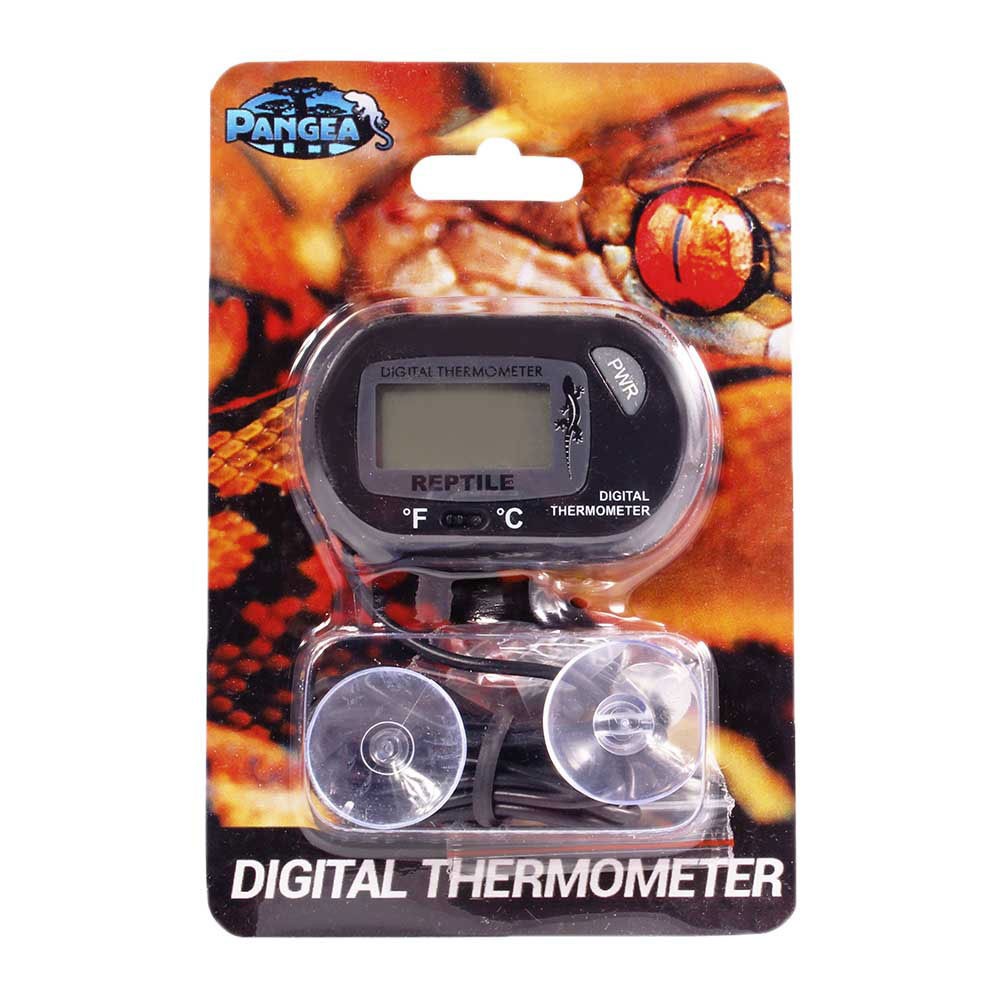 Pangea Digital Thermometer