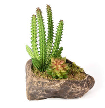 Load image into Gallery viewer, Pangea Succulent Garden
