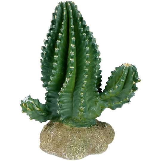 Komodo Columnar Cactus 5.9"