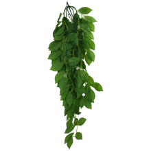 Load image into Gallery viewer, Komodo Climbing Plant Green Leaf
