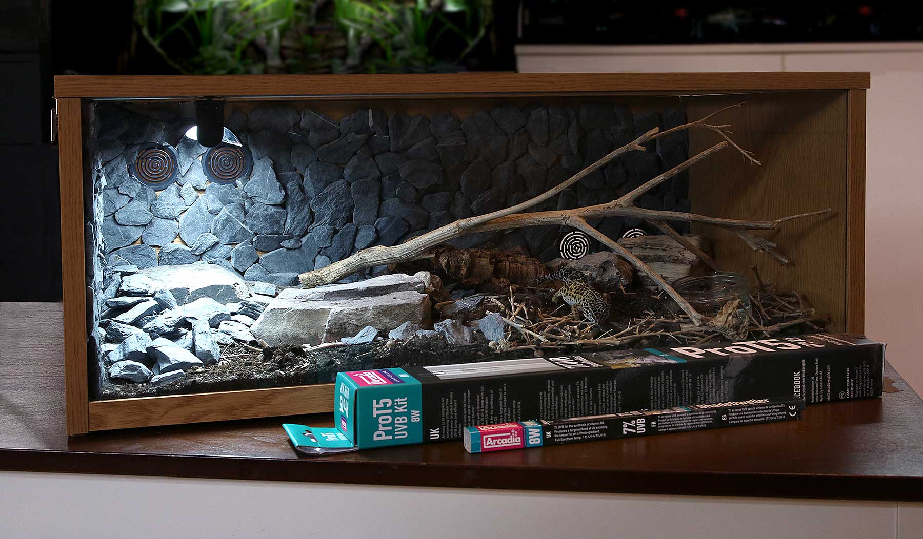 Arcadia ShadeDweller Pro T5 UVB Kit 12