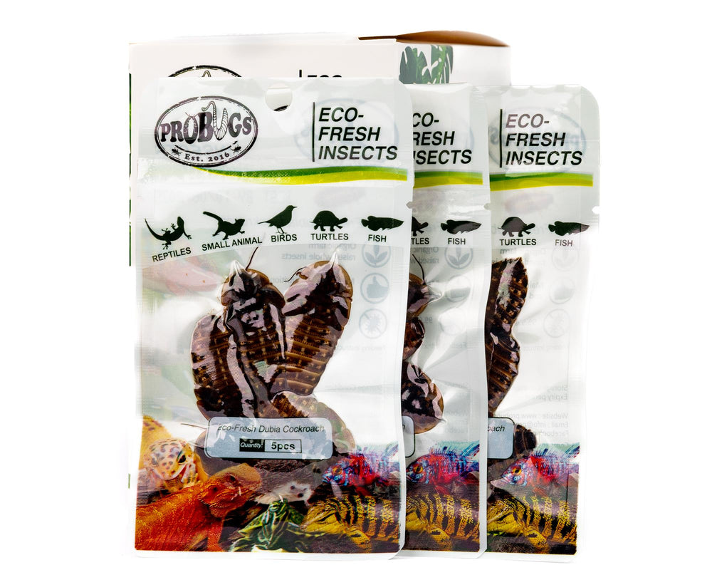 ProBugs Eco-Fresh Dubia Cockroach