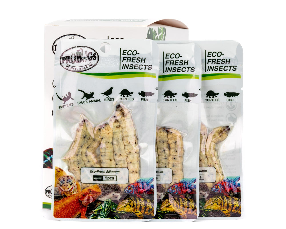 ProBugs Eco-Fresh Silkworms