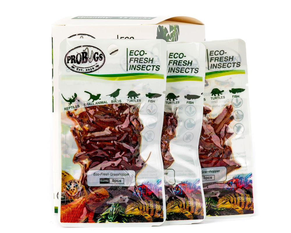 ProBugs Eco-Fresh Grasshopper