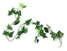 Load image into Gallery viewer, ReptiZoo Boston Ivy Vine 75&quot;
