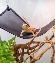 Load image into Gallery viewer, ReptiZoo Nylon Hammock
