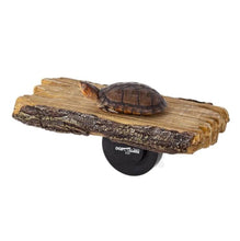 Load image into Gallery viewer, Reptizoo 2-in-1 Turtle Ramp and Arboreal Feeder
