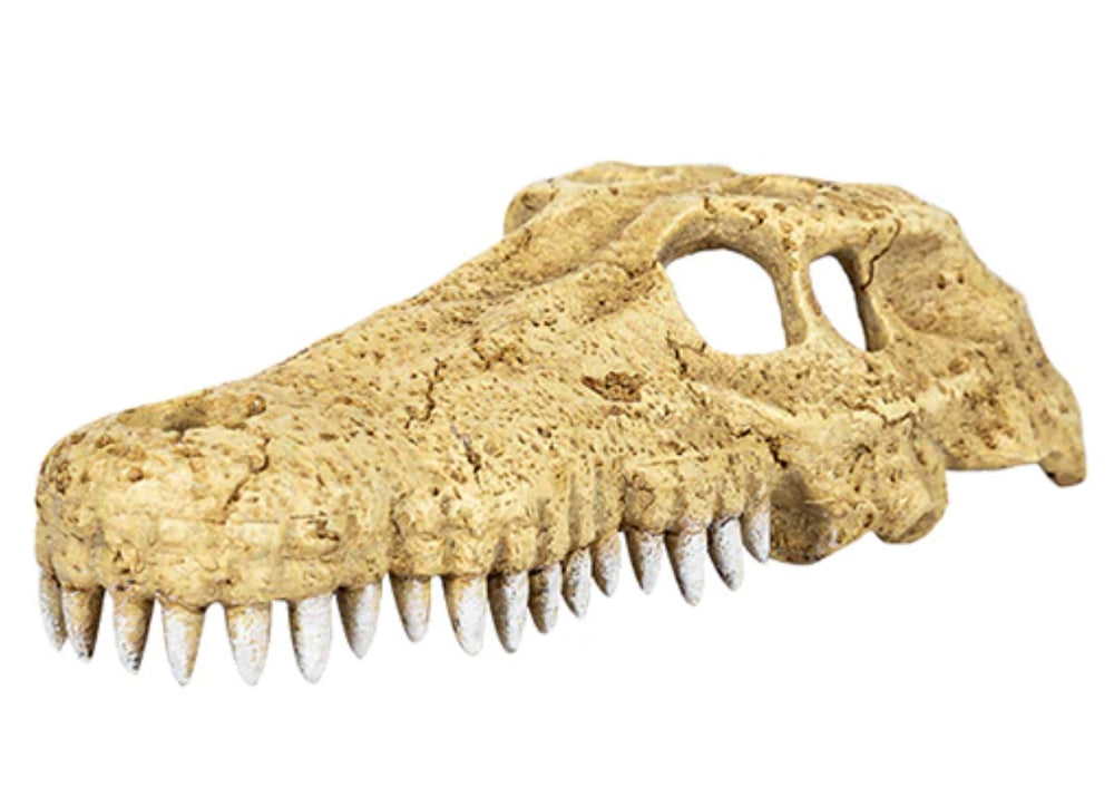 ReptiZoo Crocodile Skull Hide