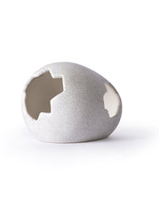 Load image into Gallery viewer, Galapagos Ceramic Egg Hide, Medium
