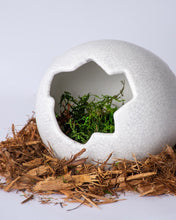 Load image into Gallery viewer, Galapagos Ceramic Egg Hide, Medium
