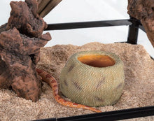 Load image into Gallery viewer, ReptiZoo Snake Water Dish
