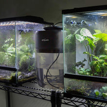 Load image into Gallery viewer, ReptiZoo Intelligent Deluxe Rainforest \ Misting System 10L
