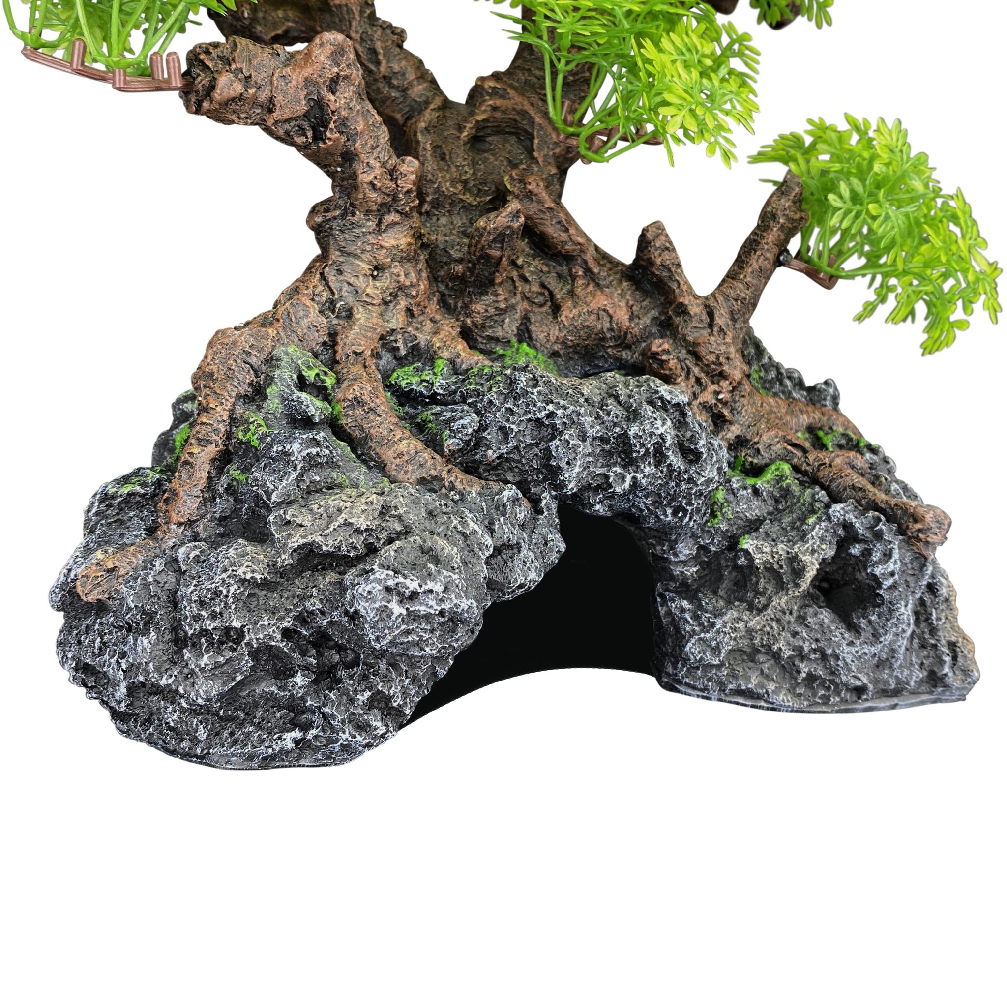 aquarium bonsai tree for sale Komodo Bonsai Tree – Northern Gecko Inc US