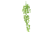 Load image into Gallery viewer, ReptiZoo Grape Leaves Vine 36&quot;
