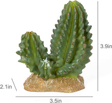 Load image into Gallery viewer, ReptiZoo Cactus Desert Decor 3.9&quot;
