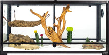 Load image into Gallery viewer, ReptiZoo Cactus Desert Decor 7.1&quot;
