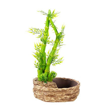 Load image into Gallery viewer, ReptiZoo 2-In-1 Height Adjustable Bamboo Planter Dripper
