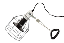 Load image into Gallery viewer, ReptiZoo Strong Spring Clamp (For Lamp Fixture Domes)
