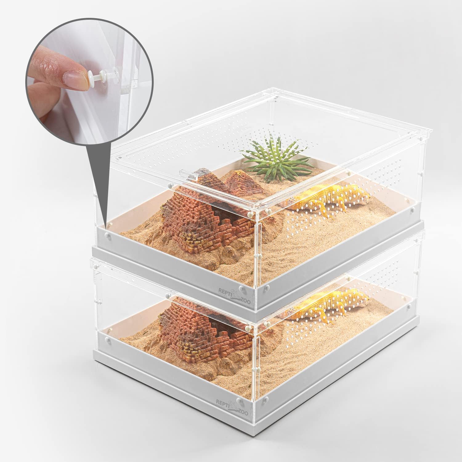 ReptiZoo Acrylic Knock-Down Terrarium – Northern Gecko Inc US