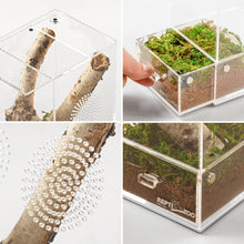 Load image into Gallery viewer, ReptiZoo Acrylic Enclosure with Removable Tray
