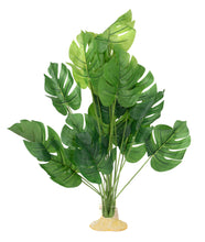 Load image into Gallery viewer, AquaGlobe Monstera Silk Plant
