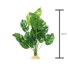 Load image into Gallery viewer, AquaGlobe Monstera Silk Plant
