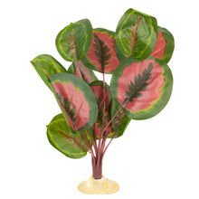 Load image into Gallery viewer, Aquaglobe Calathea Silk Plant
