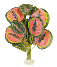 Load image into Gallery viewer, Aquaglobe Calathea Silk Plant
