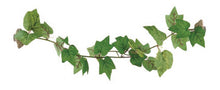 Load image into Gallery viewer, ReptiZoo Magnetic Adhesive Terrarium Plant (Grape Leaves) 25&quot;
