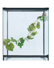 Load image into Gallery viewer, ReptiZoo Magnetic Adhesive Terrarium Plant (Grape Leaves) 25&quot;
