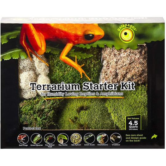 Galapagos Terrarium Decor Starter Kits