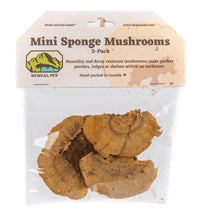 Load image into Gallery viewer, NewCal Mushroom Sponge Mini, 3 Pack
