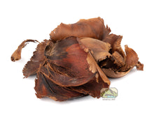 Load image into Gallery viewer, NewCal Palm Petals, 1 oz.
