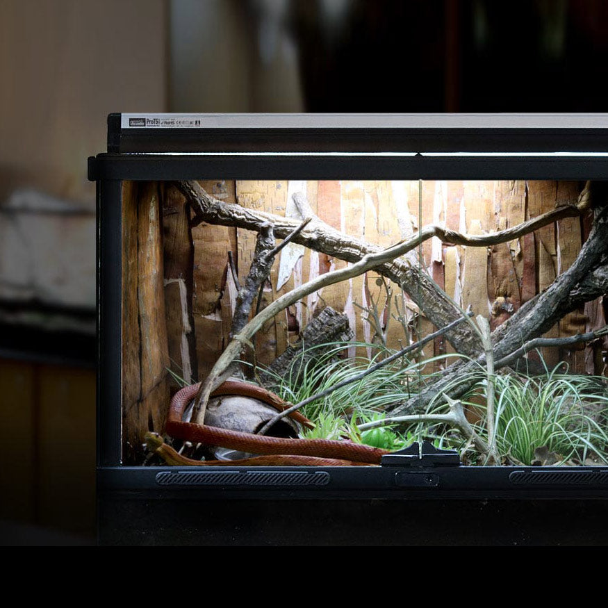 Arcadia ShadeDweller Max Pro T5 HO Kit 22