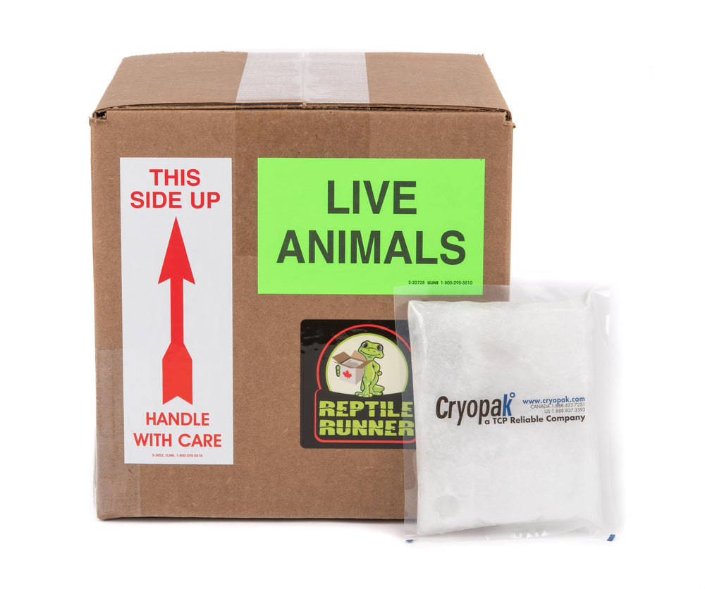 Shipping Box Kit 9'' x 9'' x 9''