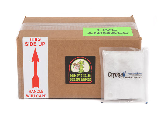 Shipping Box Kit 12'' x 9'' x 6''