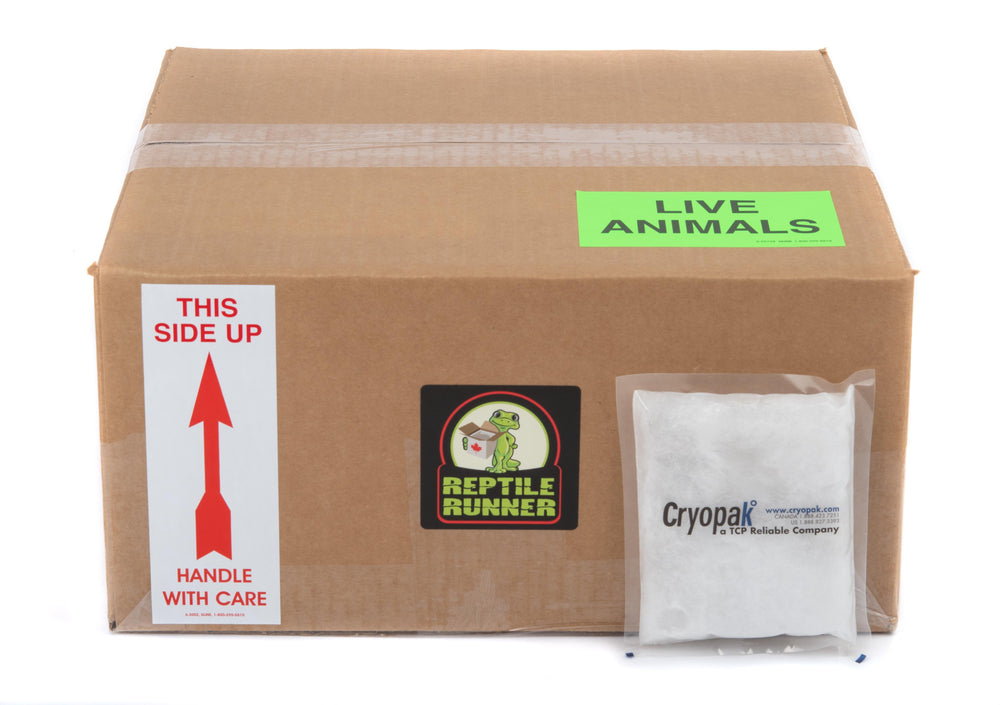 Shipping Box Kit 15'' x 15'' x 7''
