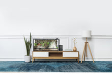 Load image into Gallery viewer, ReptiZoo Digital Timing Fogger with Remote Control 4L
