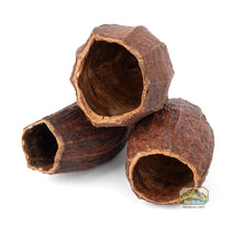 Load image into Gallery viewer, NewCal Cocoa Pod 5-7&quot;
