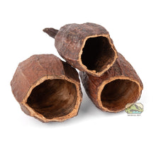 Load image into Gallery viewer, NewCal Cocoa Pod 5-7&quot;
