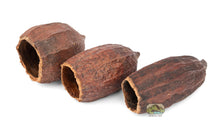 Load image into Gallery viewer, NewCal Cocoa Pod 5-7&quot;
