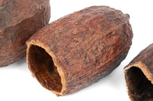 Load image into Gallery viewer, NewCal Cocoa Pod 5-7&quot;
