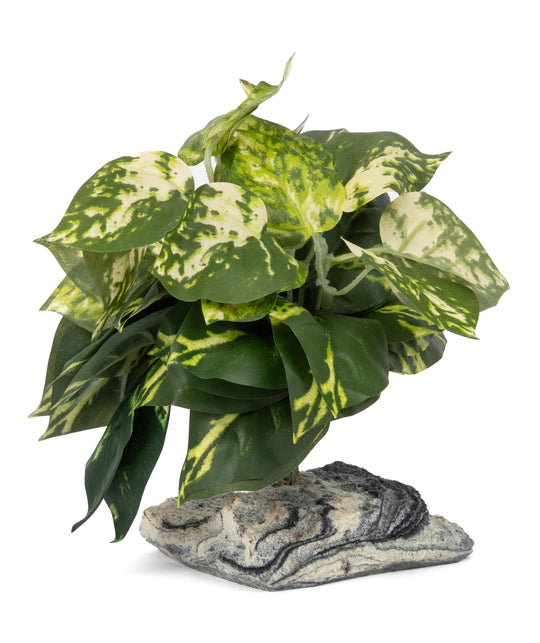 Habi-Scape Tropical Plant on Stone Base