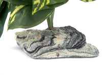 Load image into Gallery viewer, Habi-Scape Tropical Plant on Stone Base
