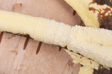 Load image into Gallery viewer, Female Frappuccino 100% het Axanthic (FRAP(AX)-1104-9)
